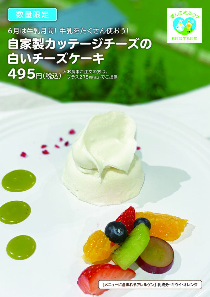 6月は牛乳月間 自家製カッテージチーズの白いチーズケーキ Milkland Hokkaido Tokyo 6月は牛乳月間 自家製カッテージチーズの白いチーズケーキ Milkland Hokkaido Tokyo